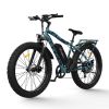 AOSTIRMOTOR S07-F 26" 750W Electric Bike Fat Tire P7 48V 13AH Removable Lithium Battery for Adults with Detachable Rear Rack Fender New Model