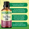 Spring Valley 100% Pure Australian Tea Tree Oil;  2 fl oz